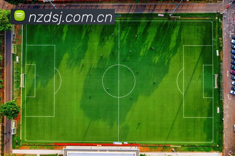 LD乐动·(中国)官方网站 - LEDONG SPORTAPP 体育赛事宣传图